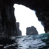 snorkel-el-hierro-peces-y-aguas-marinas7__msi___jpg-1920w